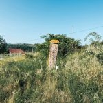 Крајпуташ Бранку Чоланићу у Доњем Трудову, Јасеново (фото Бојан Радојичић)