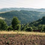 Гробље у Доњем Трудову, Јасеново (фото Бојан Радојичић)