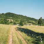 Гробље у Доњем Трудову, Јасеново (фото Бојан Радојичић)