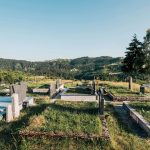 Гробље у Доњем Трудову, Јасеново (фото Бојан Радојичић)