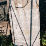 Споменик Миљку Топаловићу на гробљу у Доњем Трудову, Јасеново (фото Бојан Радојичић)