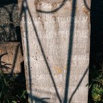 Споменик Миљку Топаловићу на гробљу у Доњем Трудову, Јасеново (фото Бојан Радојичић)