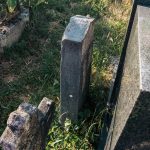 Споменик Миљку Топаловићу на гробљу у Доњем Трудову, Јасеново (фото Бојан Радојичић)