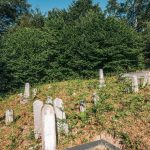 Јаџића гробље у Јасенову (фото Бојан Радојичић)