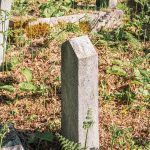 Споменик Василију Жунићу на Јаџића гробљу у Јасенову (фото Бојан Радојичић)