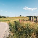 Крајпуташи Владимиру Зекавици и Рајку Шапоњићу у Јасенову (фото Бојан Радојичић)