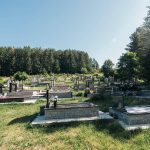 Гробље на потесу Бјелин у Радоињи (фото Бојан Радојичић)