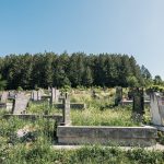 Гробље на потесу Бјелин у Радоињи (фото Бојан Радојичић)
