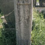 Споменик Милошу Гојаковићу на гробљу на потесу Бјелин у Радоињи (фото Бојан Радојичић)