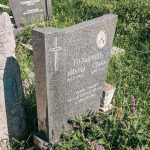 Споменик Милошу Гојаковићу на гробљу на потесу Бјелин у Радоињи (фото Бојан Радојичић)