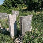 Споменик Милошу Гојаковићу на гробљу на потесу Бјелин у Радоињи (фото Бојан Радојичић)