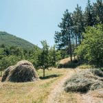 Гробље на потесу Кула у Рутошима (фото Бојан Радојичић)