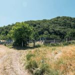 Гробље на потесу Кула у Рутошима (фото Бојан Радојичић)