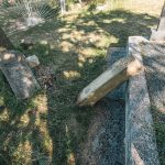 Споменик Раденку и Бошку на гробљу у Вранеши (фото Бојан Радојичић)