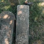 Споменик Раденку и Бошку на гробљу у Вранеши (фото Бојан Радојичић)