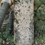 Споменик Милуну Лечићу на гробљу у Вранеши (фото Бојан Радојичић)