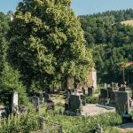 Гробље Зебиновац у Новој Вароши (фото Бојан Радојичић)