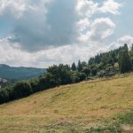 Гробље на Бабића брду (фото Бојан Радојичић)