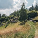 Гробље на Бабића брду (фото Бојан Радојичић)