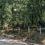 Бистричко гробље у Бистрици (фото Бојан Радојичић)