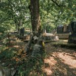 Бистричко гробље у Бистрици (фото Бојан Радојичић)