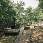 Бистричко гробље у Бистрици (фото Бојан Радојичић)