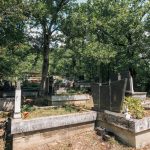 Бистричко гробље у Бистрици (фото Бојан Радојичић)