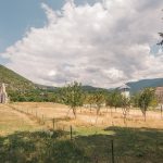 Гробље код Цркве Свете Тројице у Бистрици (фото Бојан Радојичић)