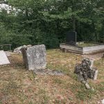 Гробље на Рипама у Челицама, Бистрица (фото Бојан Радојичић)