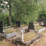 Гробље на Рипама у Челицама, Бистрица (фото Бојан Радојичић)