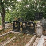 Споменик Сретену Пузовићу на гробљу на Рипама у Челицама, Бистрица (фото Бојан Радојичић)