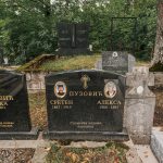 Споменик Сретену Пузовићу на гробљу на Рипама у Челицама, Бистрица (фото Бојан Радојичић)