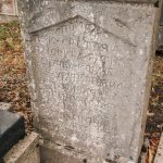 Споменик Сретену Пузовићу на гробљу на Рипама у Челицама, Бистрица (фото Бојан Радојичић)