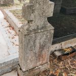 Споменик Сретену Пузовићу на гробљу на Рипама у Челицама, Бистрица (фото Бојан Радојичић)