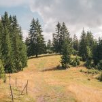 Гробље у Попадићима, Брдо (фото Бојан Радојичић)