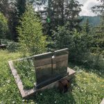 Споменик Млађену Поповићу на гробљу у Попадићима, Брдо (фото Бојан Радојичић)
