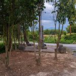 Споменик Тимочкој дивизији у Егзоплатаносу (фото Бојан Радојичић)