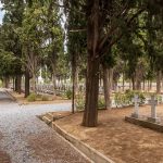 Српско војно гробље на Зејтинлику у Солуну (фото Бојан Радојичић)