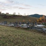 Гробље у Друловићима, Дрмановићи, Акмачићи (фото Бојан Радојичић)