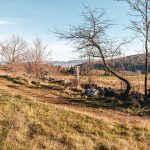 Крајпуташ Милану Ракоњцу у Мишевићима, Акмачићи (фото Бојан Радојичић)