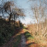 Гробље у Доњој Белој Реци (фото Бојан Радојичић)