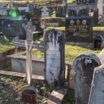 Споменик Владисаву Виторовићу на гробљу у Доњој Белој Реци (фото Бојан Радојичић)