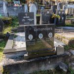 Споменик Милисаву Виторовићу на гробљу у Доњој Белој Реци (фото Бојан Радојичић)