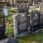 Споменик Радоју Виторовићу на гробљу у Доњој Белој Реци (фото Бојан Радојичић)