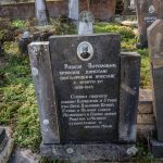 Споменик Радоју Виторовићу на гробљу у Доњој Белој Реци (фото Бојан Радојичић)