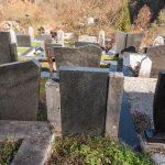 Споменик Радоју Виторовићу на гробљу у Доњој Белој Реци (фото Бојан Радојичић)