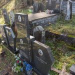 Споменик Велимиру Виторовићу на гробљу у Доњој Белој Реци (фото Бојан Радојичић)