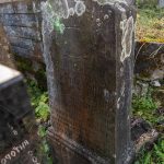 Споменик Велимиру Виторовићу на гробљу у Доњој Белој Реци (фото Бојан Радојичић)