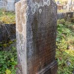 Споменик Велимиру Виторовићу на гробљу у Доњој Белој Реци (фото Бојан Радојичић)