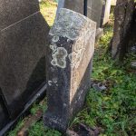 Споменик Велимиру Виторовићу на гробљу у Доњој Белој Реци (фото Бојан Радојичић)